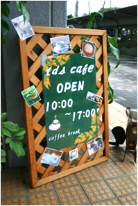 tdsカフェ